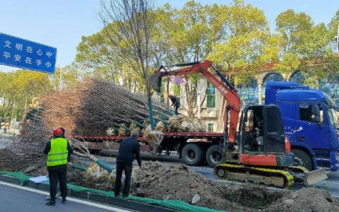 城市道路绿化规划与设计规范，最新城市道路绿化规划与设计规范