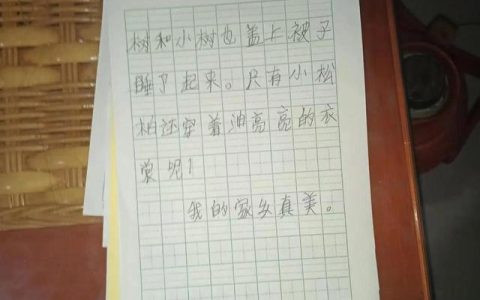 我得到了关心作文400字，我被表扬了作文400字左右